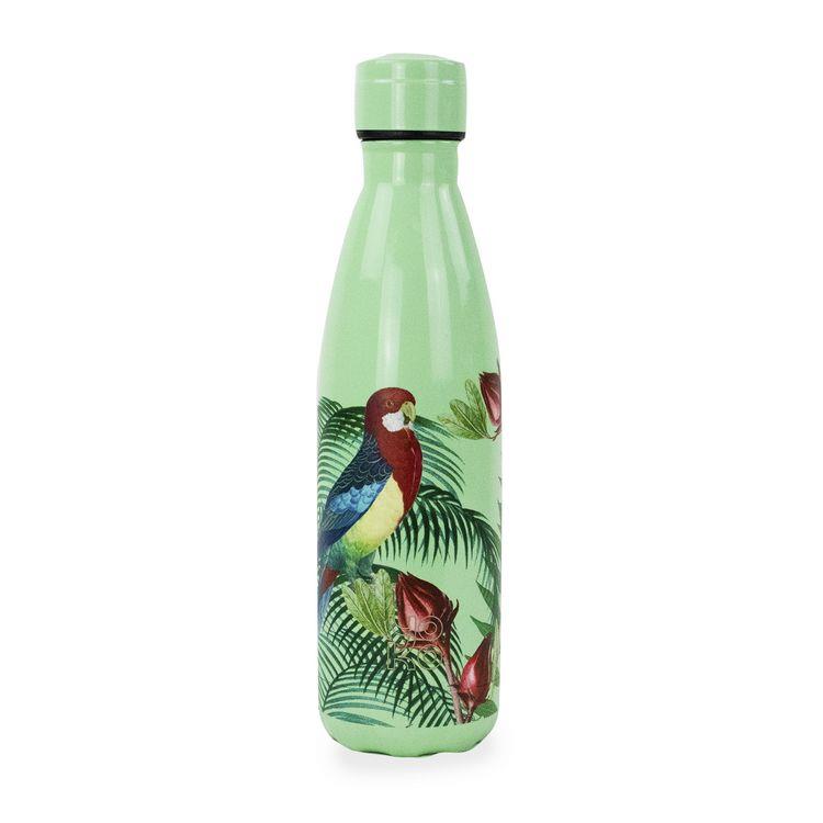 Bouteille  isotherme  parrot 500 ml