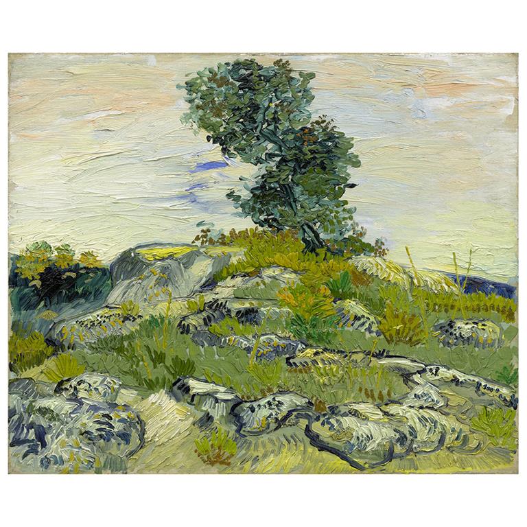 Impressions sur toile pour une décoration élégante et raffinée de vos murs et un élément décoratif unique pour différents types d'ambiance.Châssis en MDF avec des bords de cm. 2,2 d'épaisseur.Impression ...