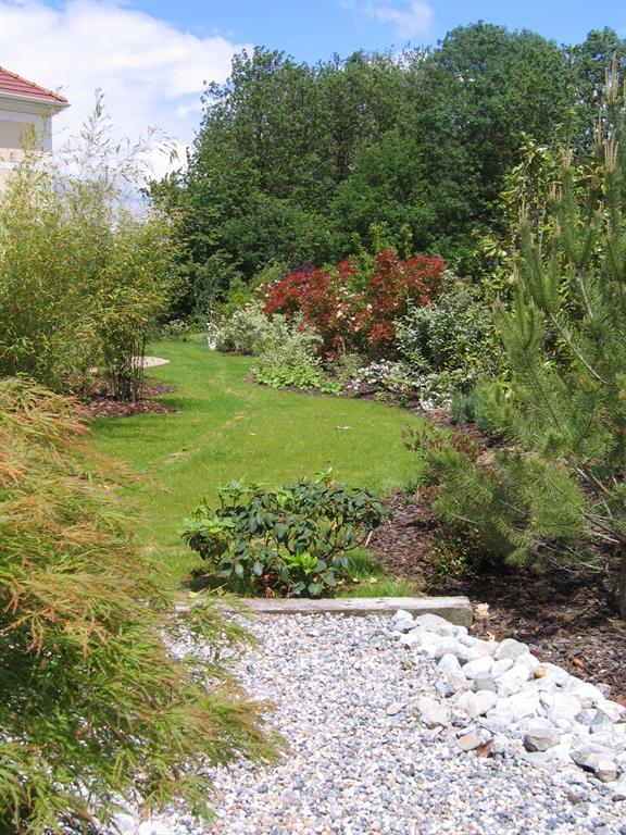 Jardin avec nombreuses plantes