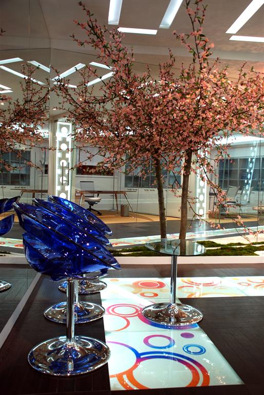 Zone d'attente avec jardin japonais et cerisier en fleurs