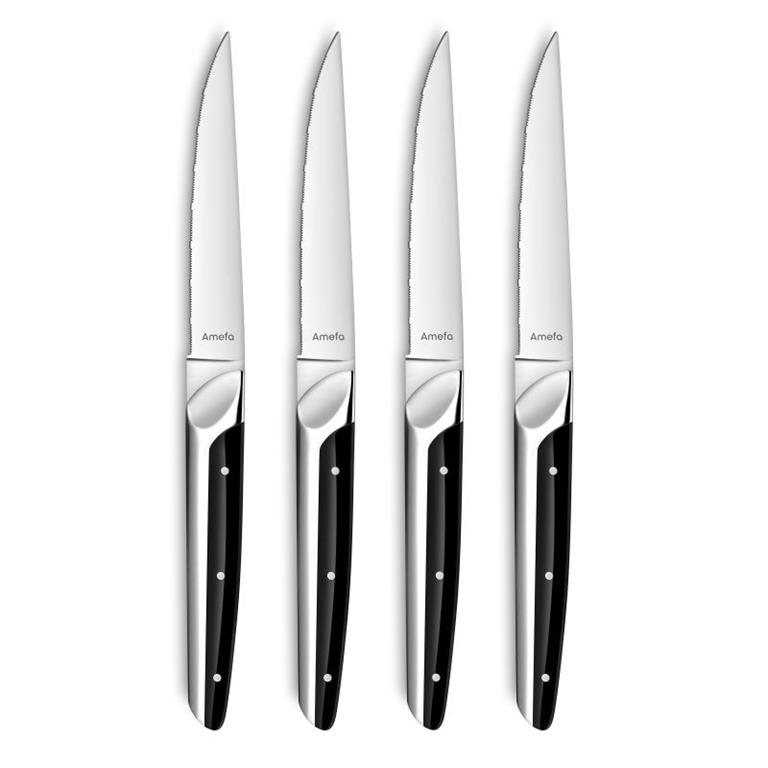 Coffret 4 couteaux steak