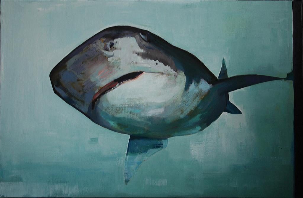 Shark