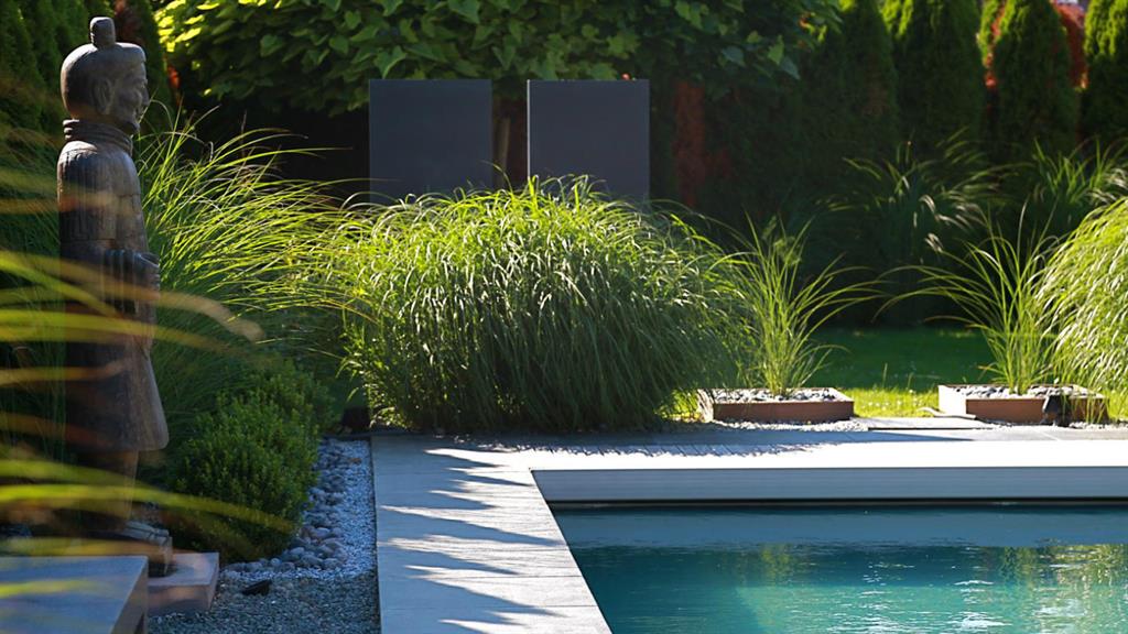 Piscine contemporaine au milieu de la végétation
