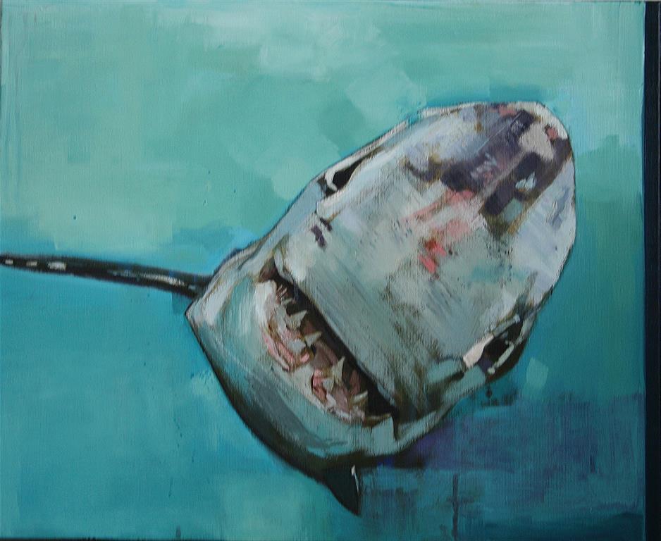 Sourire ambigu du grand requin blanc
