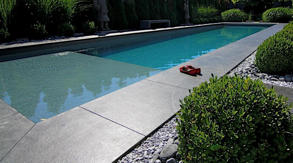 Piscine en longueur dans le jardin