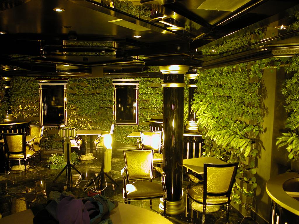 Restaurant night club