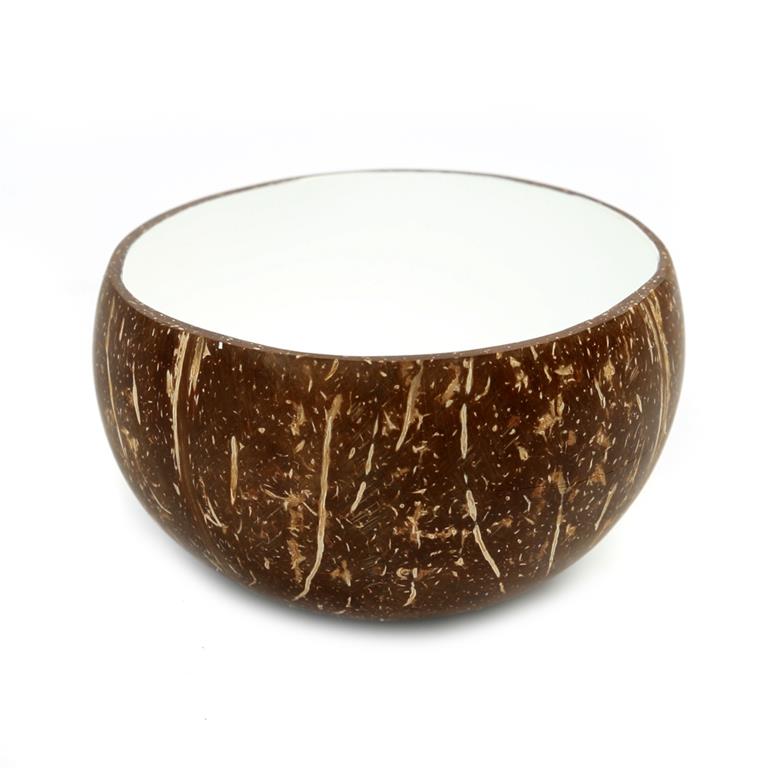Bol en noix de coco blanc naturel