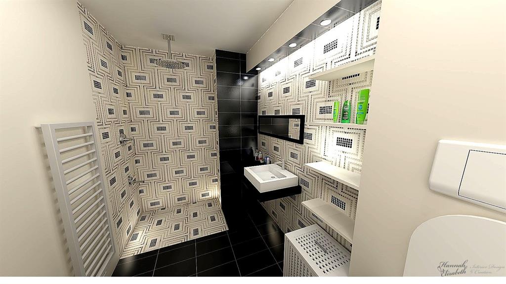 Salle de bain noir et blanc et argent