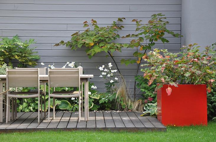 Petit jardin avec terrasse en bois aménagée d'une salle à manger d'extérieur