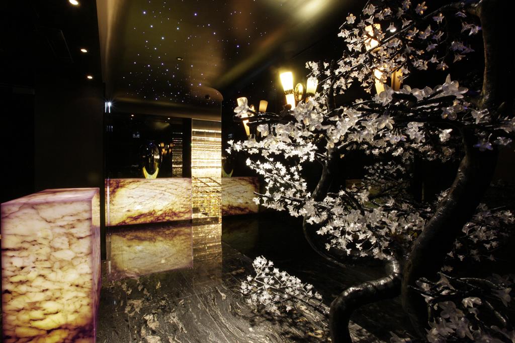 Accueil Night club