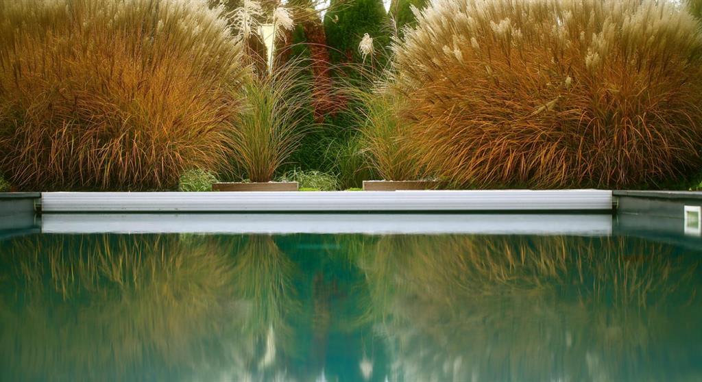 Piscine au cœur des bosquets