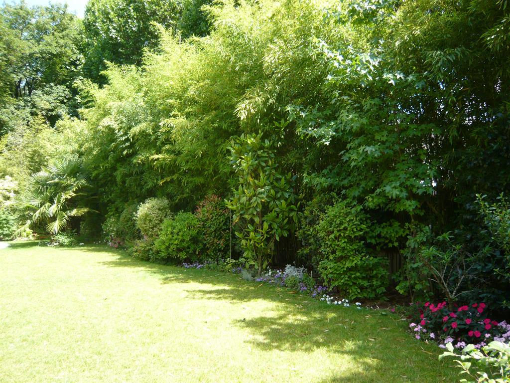 Pelouse bordée d'arbres