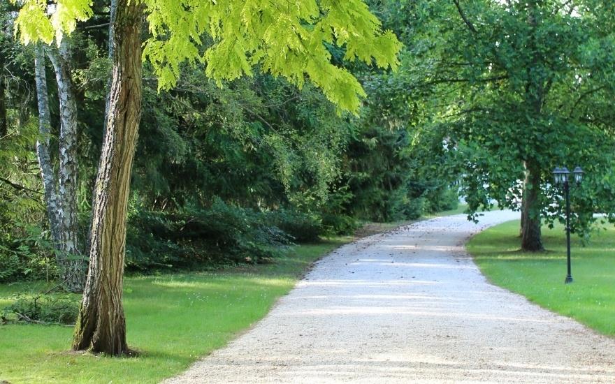 Allée d'accès à la maison