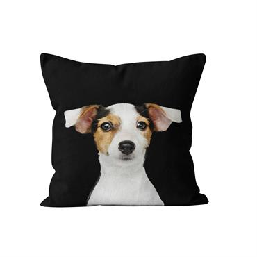 Notre coussin est un accessoire de décoration en velours,, fabriqué en France. Avec un design original mettant en avant un chien nommé Cooper, ce coussin offre une touche ludique à ...