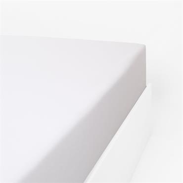 Les draps housses en coton molleton TOUDOUX sont parfaits pour passer des nuits d'hiver au chaud. Grâce au process de grattage, le drap housse en coton gonfle en volume et ...