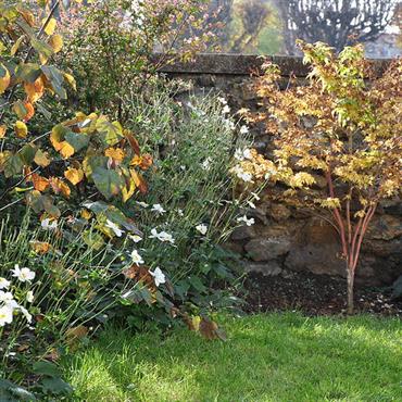 L’approche de l’hiver est un temps propice au jardinage. C’est même la période idéale pour s’activer à tout l'éventail des ... Domozoom