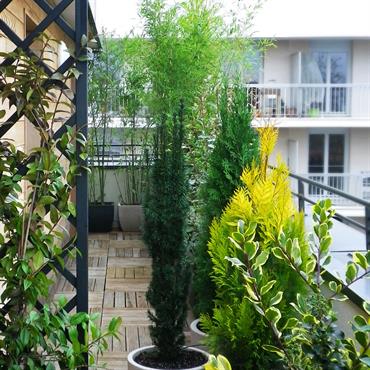 Été comme hiver, ce balcon filant est à l’abri des regards indiscrets grâce à une sélection de végétaux à feuillages ... Domozoom