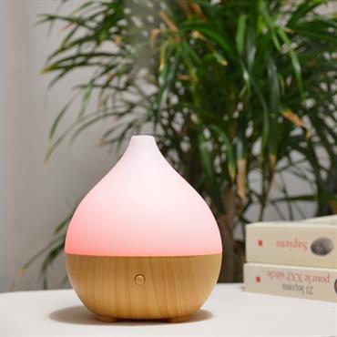 Diffuseur d'huiles essentielles ultrasonique USB Leo