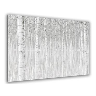 Tableau nature perspective trees imprimé sur toile 45x30cm