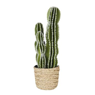 Cactus artificiel et pot noir