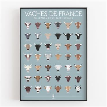Affiche d'art vaches de France 50 X 70 cm