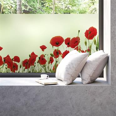 Film Occultant coquelicots 40x100cm