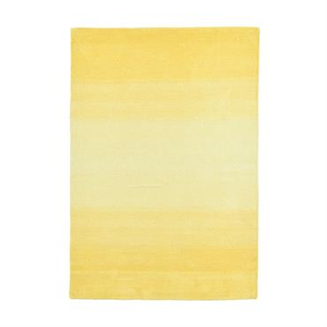 Un tapis Indo-Handloom en provenance d'Inde qui met en scène de manière vivante des couleurs d'intérieur inspirantes avec une élégante transition de couleurs. 