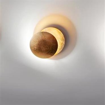  Domozoom