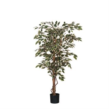 Le plaisir des plantes sans entretien ! Les plantes artificielles pour intérieur de Mica Decorations sont incroyablement réalistes et ne nécessitent bien sûr aucun arrosage. Avec ce ficus, vous donnez ...