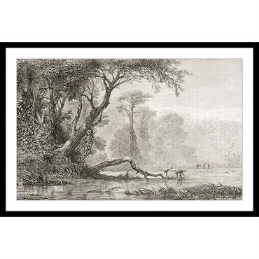 Affiche 60x40cm encadrée avec un passe partout 100% Made in France imprimée sur un papier mat et épais (225 g/m² ). Le cadre est en bois avec une épaisseur de 2,5cm, ...