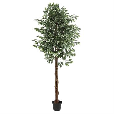 Produit à usages professionnels et particuliers.Symbolique du bien-être et du bonheur, le ficus est un incontournable de la décoration végétale intérieur.Transformez votre espace intérieur avec notre ficus artificiel au feuillage ...