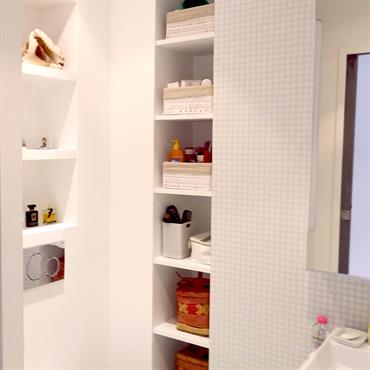 Optimisation d'une toute petite salle de bain parisienne 