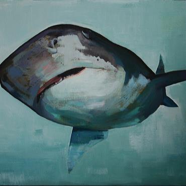 Shark