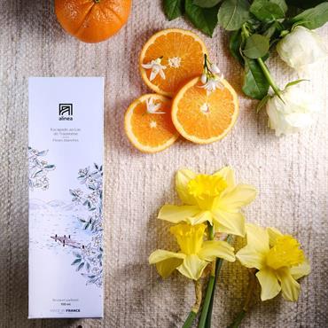 Cliquez pour agrandir et passer en diaporama Bougie parfumée senteur Balade au Lac de Trasimène 170gESCAPADES