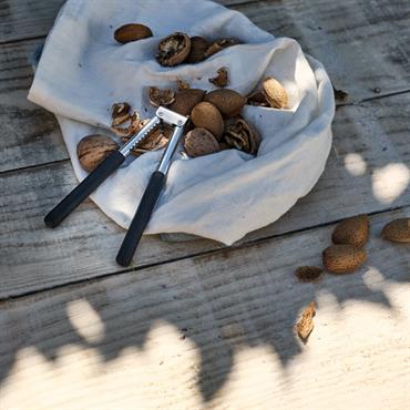 Casse-noix et crustacés en inox H23cm - gris métalliséOXO