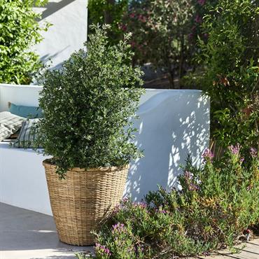 Pot en bambou D48xH46cm - naturelDAINA