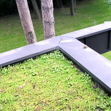 Toiture terrasse végétalisée 