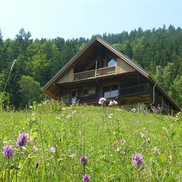 Vue du chalet depuis l'alpage 
