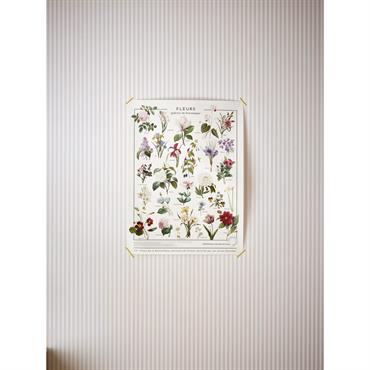 Les jolies planches - maison d'édition de curiosités - propose des objets de décoration dans un esprit vintage revisité conçus et réalisés par des artisans reconnus pour leur savoir-faire. Nous ...