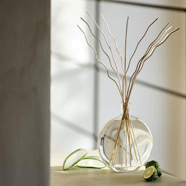 Harmonie sensuelle. Le bouquet parfumé bambou blanc vous enlace de son odeur douce et fraîche, pour une maison saine et harmonieuse, inspirée des jardins japonais. Dans ses notes de têtes, l'aloe vera, ...