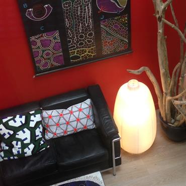 Salon au mur rouge