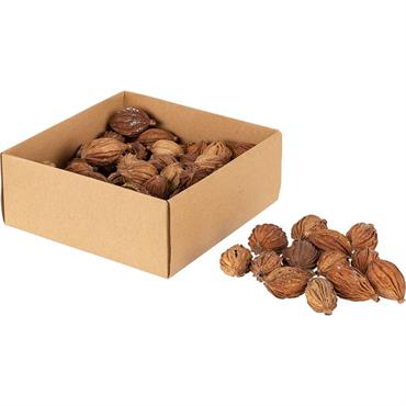 Cliquez pour agrandir et passer en diaporama Boite de 20 fruits secs déco - D10xP4