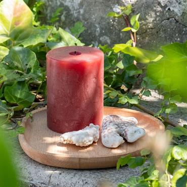 Cliquez pour agrandir et passer en diaporama Vide poche en bois d'hêtre - naturelANNIA