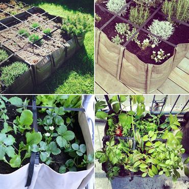 Potager hors sol
