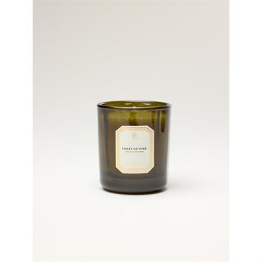 Bougie de Noël - Forêt de pins