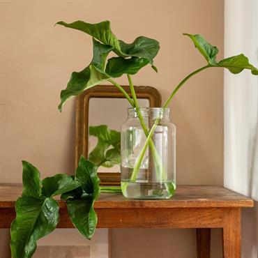 Cliquez pour agrandir et passer en diaporama Vase classique en verre recyclé H30cm - transparentBELLIAN