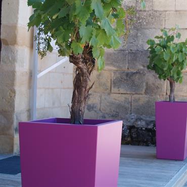 Terrasse avec jardinières hautes violettes 