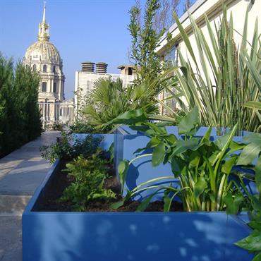 Jardinières bleues sur la terrasse 