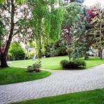 Jardin structuré par une allée en pavés blancs