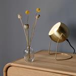 Lampe ronde en métal doré H26cmBAOU